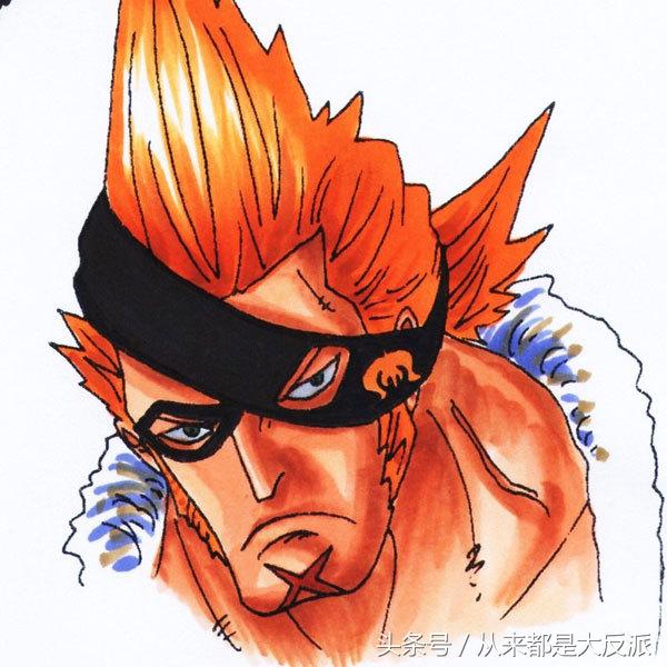 海贼王里一共出现过多少人物(四)(超新星等)