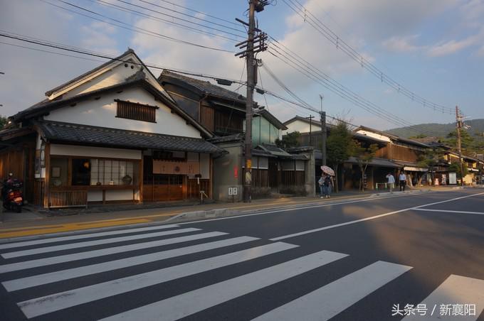 带娃去日本一周自由行,带四岁孩子去日本穷游攻略