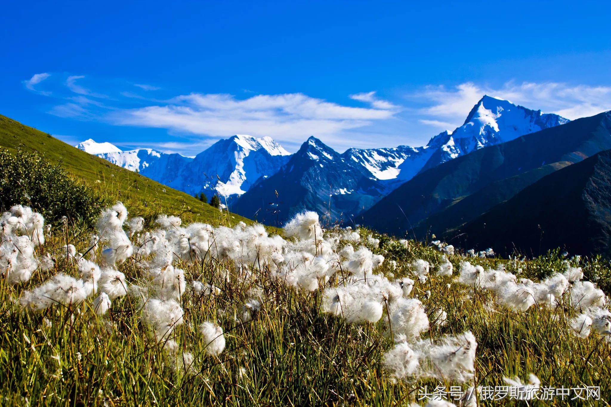坑人的坑,坑人的坑在哪里