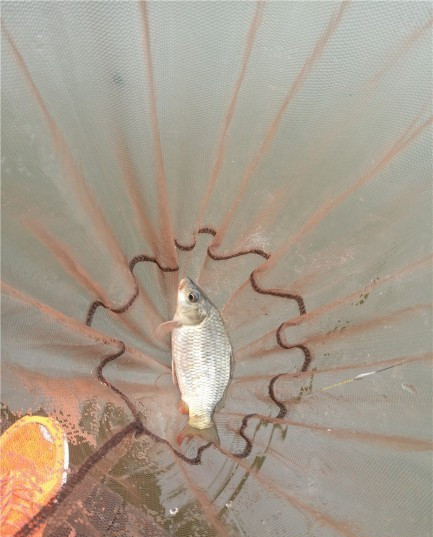 最后几天在玉林，别人掐鱼我练杆