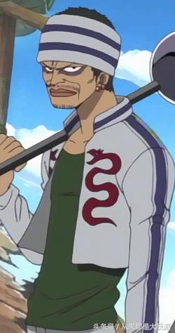 海贼王里一共出现过多少人物(四)(超新星等)