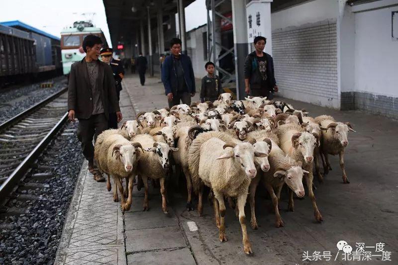 全国最便宜的火车票价,中国最豪华火车票价5万元