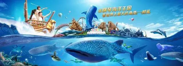 比游乐场的项目还要刺激吧,马戏酒店杂技房和魔术房区别