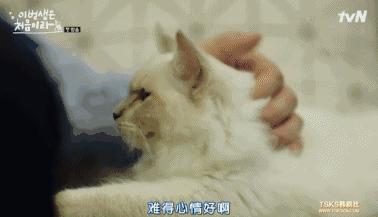 甜到炸裂的韩剧第一集就表白,超甜韩剧第一集就吻