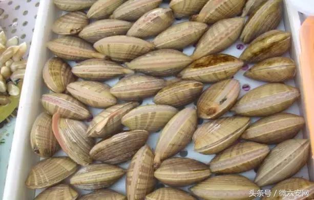 来广州不去看小蛮腰很遗憾,来广州但没去广州塔遗憾吗