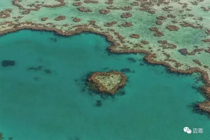想去澳洲看大堡礁和考拉,昆士兰州大堡礁