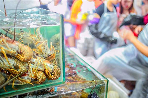 我到过许多地方是指哪里,我去过的地方皆是你看过的风景