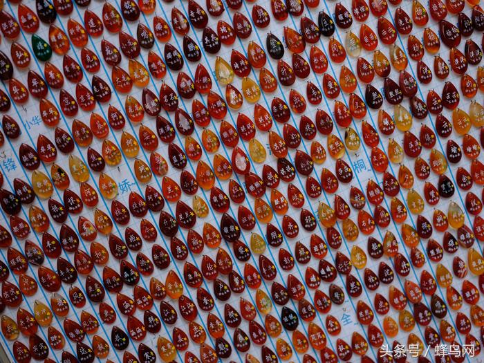 富士中画幅gfx50sii视频评测,富士gfx50s二代高感和全画幅对比