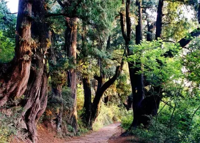 去广元必须去玩的风景,四川广元旅游必去十大景点推荐