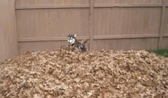 亚马逊德国直邮怎么操作,亚马逊德国发货中国仓库