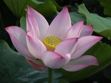 年轻人最爱的中国风品牌,欧洲品牌中的中国风