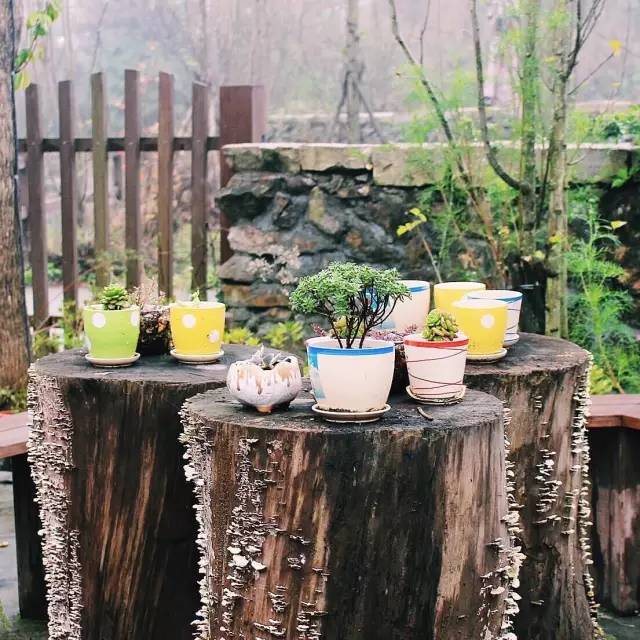 温州十大知名客栈,温州休闲民宿