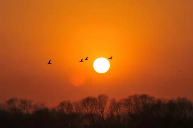 朱自清匆匆背诵技巧,朱自清匆匆朗诵