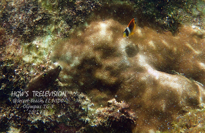 阳光，假日，海滩，带你深度游巴拉望上