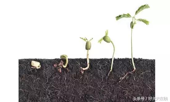 孕期见红是流产了吗四十周,流产见红什么样的