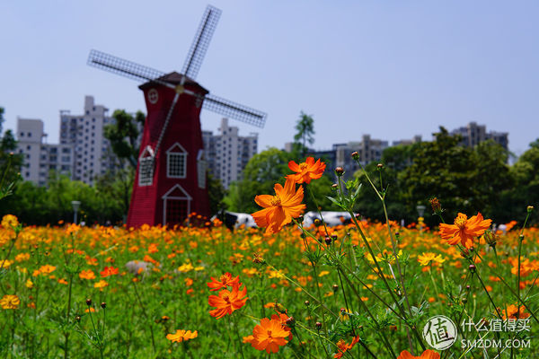 索尼a6000微单使用教程,索尼a6000微单相机新手教程