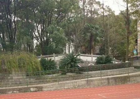 匆匆那年怀念学校,匆匆那年校园回忆