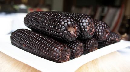 中医能调养好遗传性脱发吗,先天遗传脱发