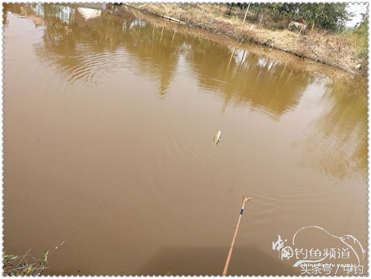 国庆节的来历,国庆头像