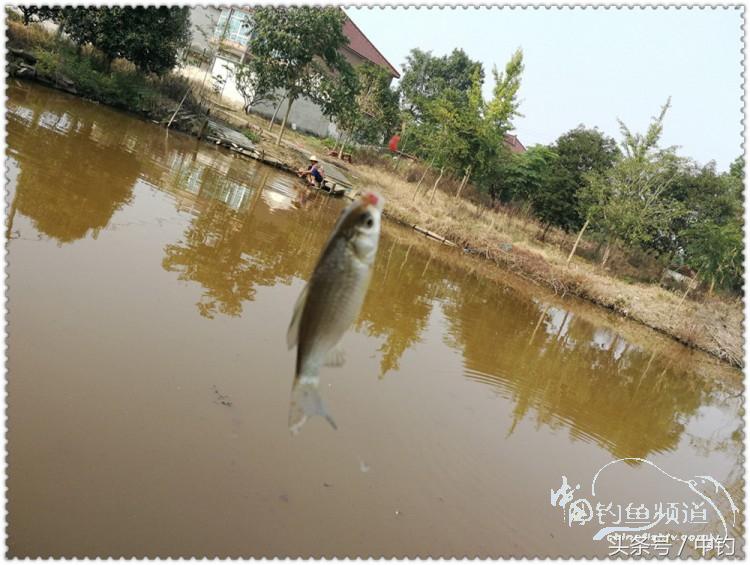 国庆节的来历,国庆头像