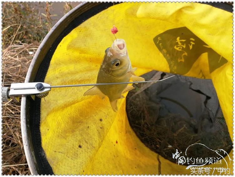 国庆节的来历,国庆头像