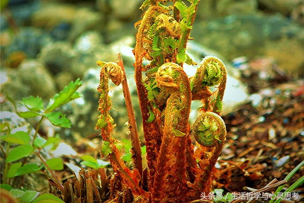 强大的逻辑思维是独立思考的基础,正确的逻辑思维和错误的逻辑思维
