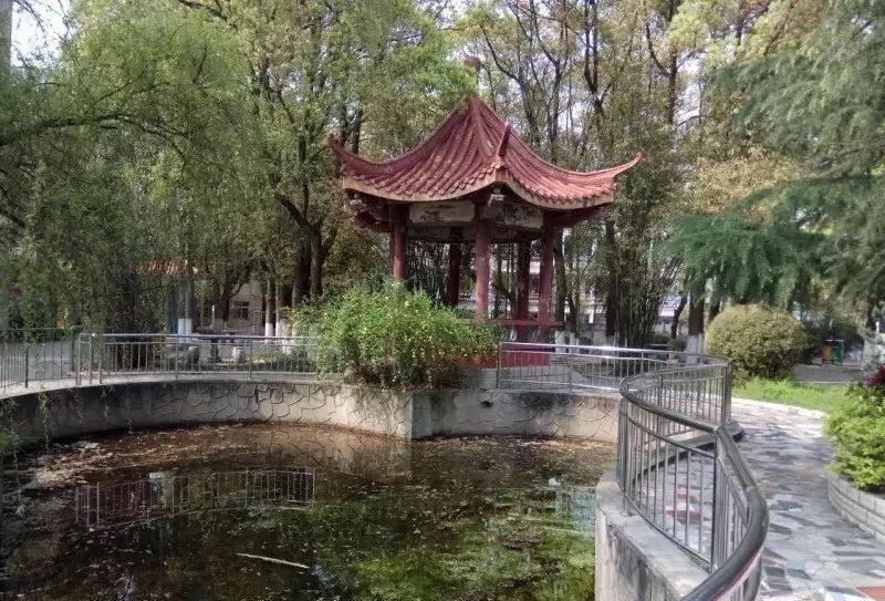 匆匆那年怀念学校,匆匆那年校园回忆