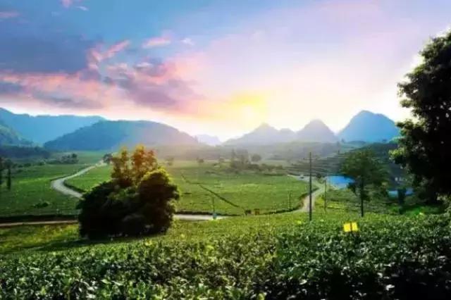 广东英德古镇排名,英德各镇实力排名