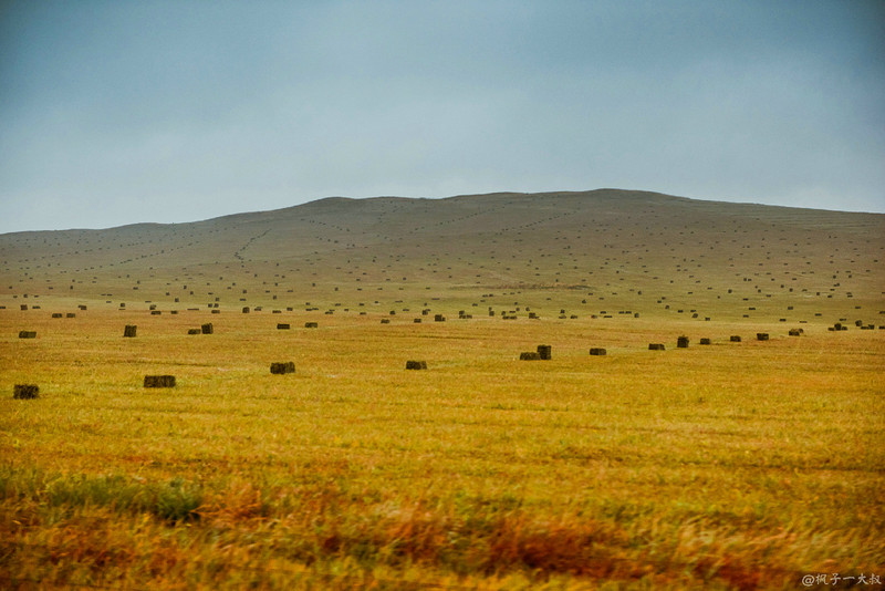 草原金秋美景图片,蓝天白云大草原的美图