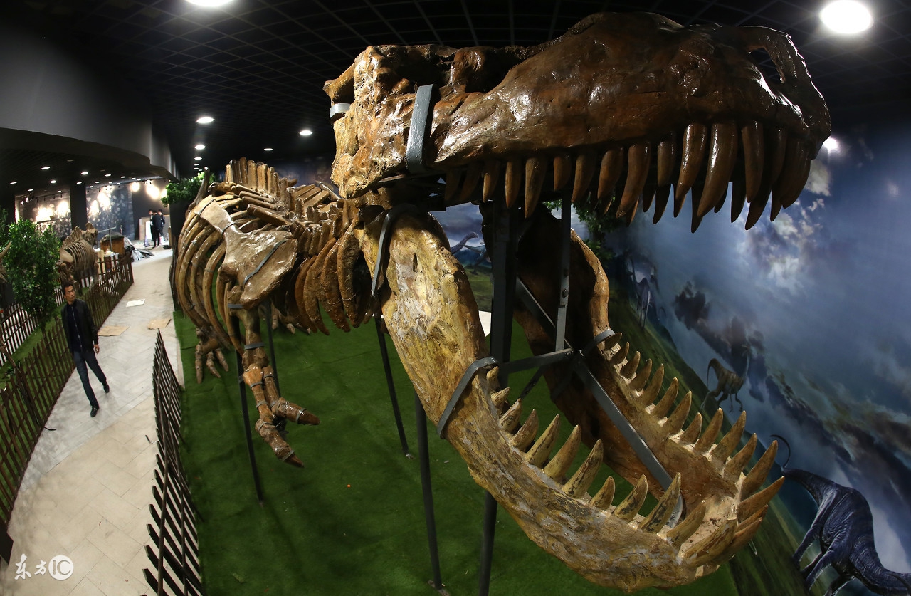 会上热门，会赚火力值，才叫会玩火山小视频