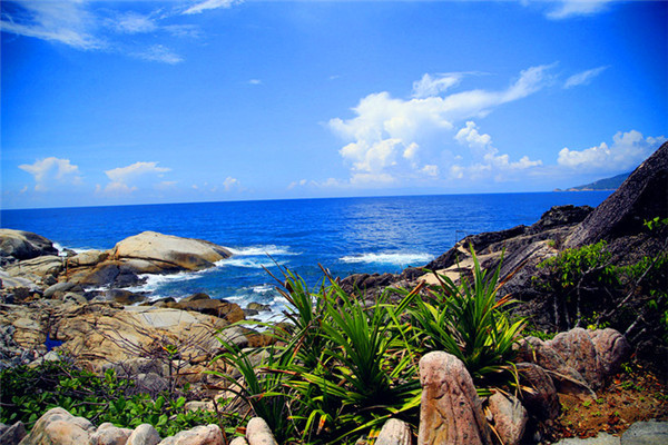 三亚看海美食攻略最值得去的地方,去三亚看海必打卡