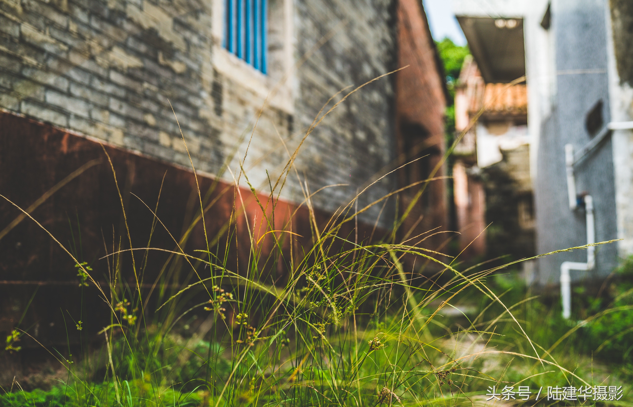 东莞世界工厂,东莞的十大古村落