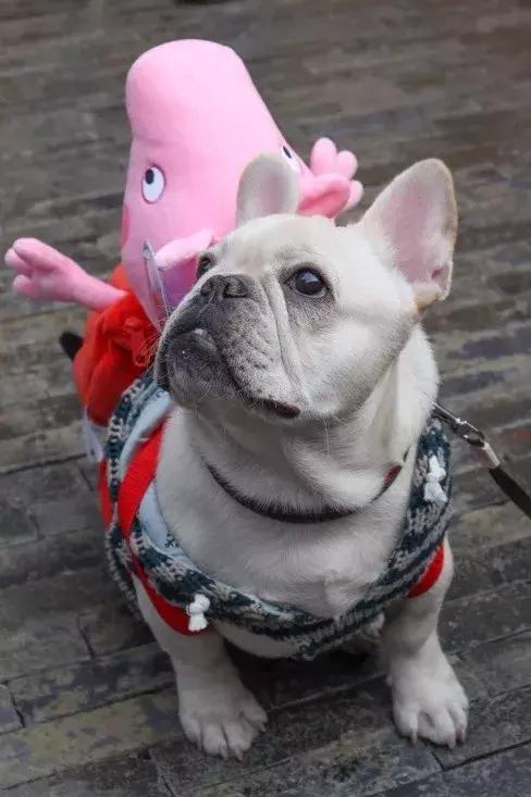 佳能高颜值轻巧相机便宜,入门便携相机佳能m200