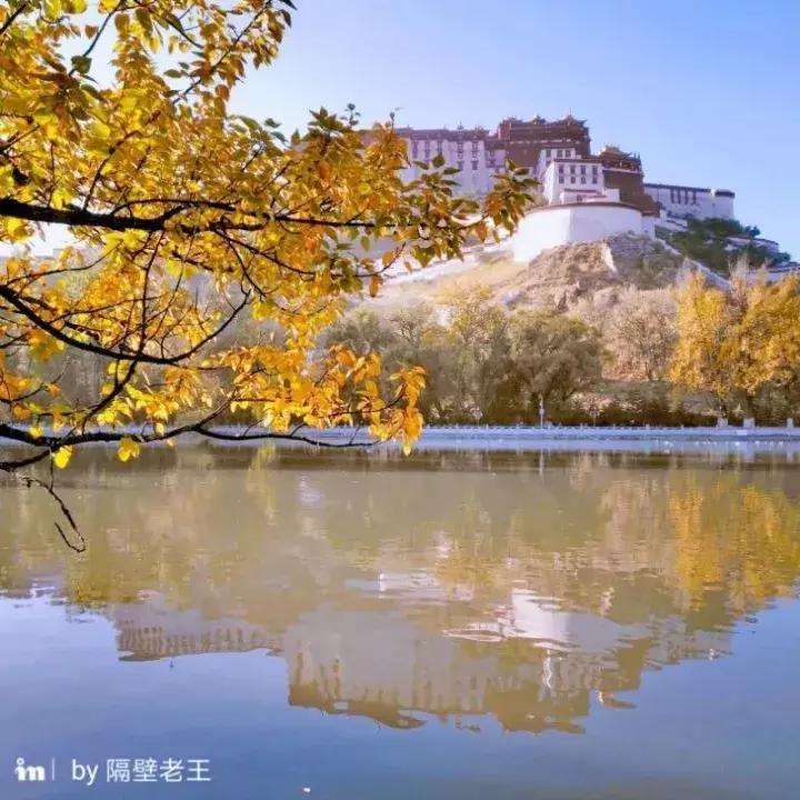 手机拍照拍不出你们的美感,拍照不好看是手机的问题