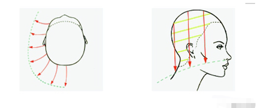 听说看了这美发沙宣理论,进理发店再也不用怕被坑了……