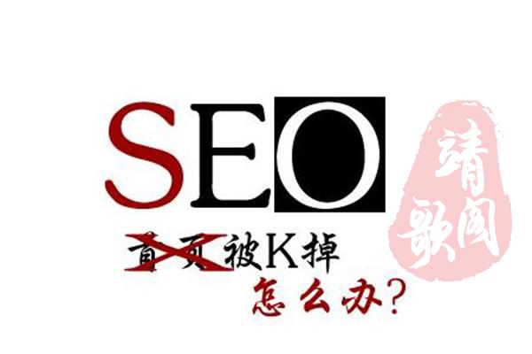 「靖歌阁」网站被K怎么办？从哪些方面做能避免更大的损失？