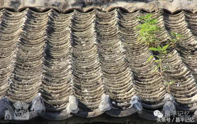 昌平手绘地图,手绘北京胡同地图