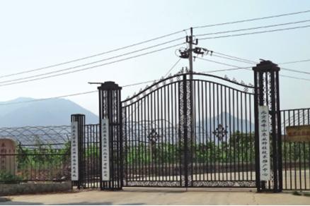 北果园大枣采摘,怀柔大枣采摘攻略