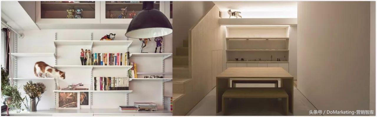 不撸猫做不好萌宠广告？你今天吸猫了吗？