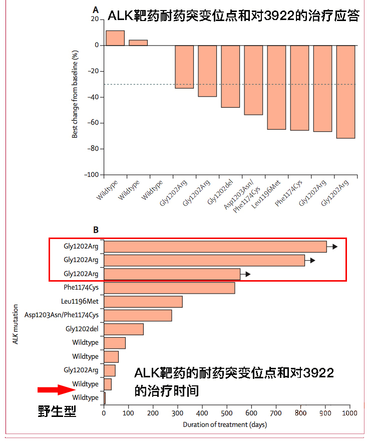 劳拉替尼3922一盒吃多久,柳叶刀关于肺癌晚期治愈