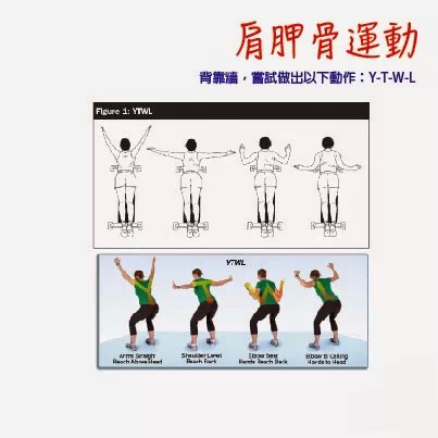 排球运动员如何保护肩关节,排球运动容易出现肩袖肌群损伤