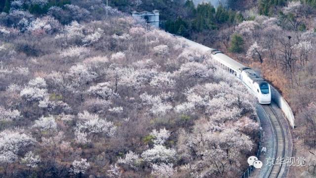 开往春天的列车，我们看图就行了