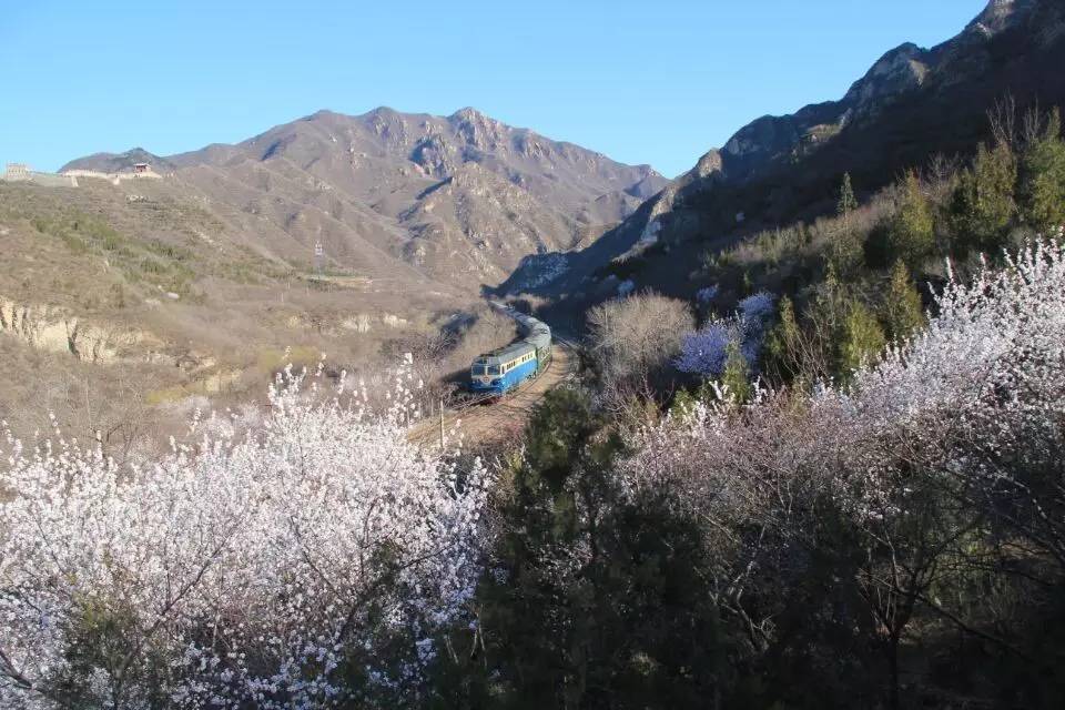 开往春天的列车图片唯美,开往春天的列车看图作文