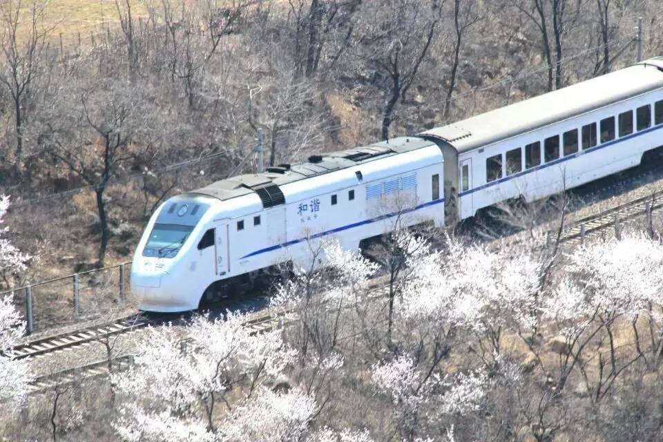 开往春天的列车，我们看图就行了