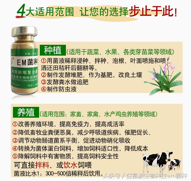 三种乌龟的具体养殖方法,乌龟的养殖技术方法和注意事项