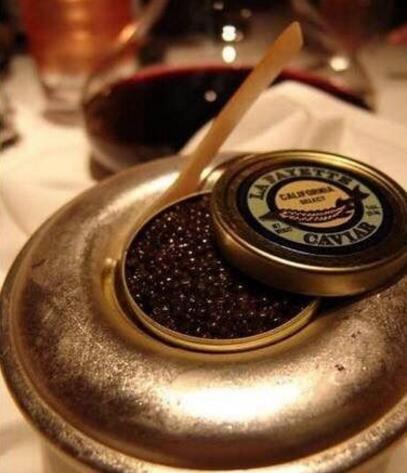 去迪拜旅游看什么东西,去迪拜看富豪养的狮子老虎