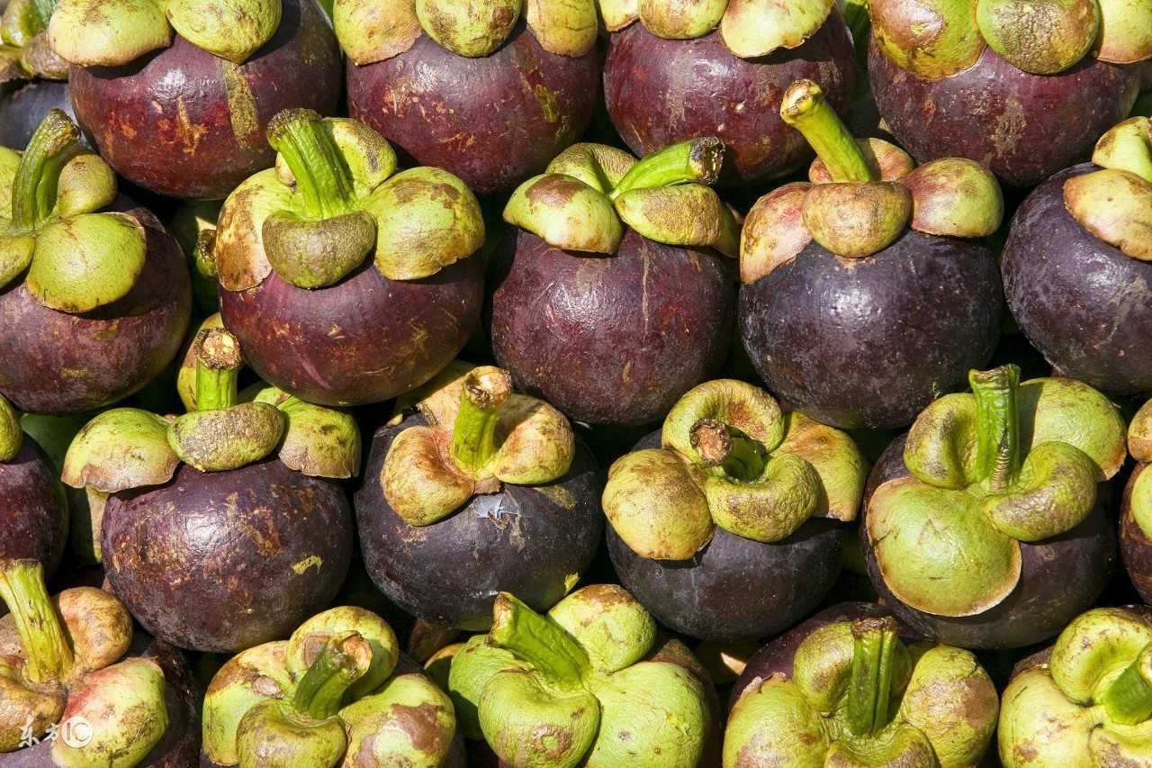 孕妇可以吃山竹吗要注意什么,孕妇可以吃山竹么