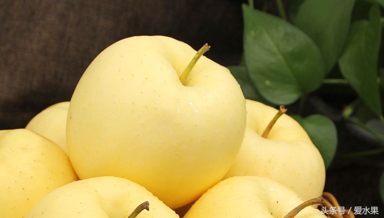 甘肃黄元帅水果,黄元帅水果