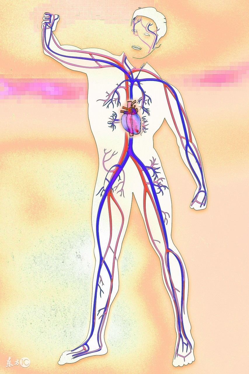 女人身体硬会有什么原因,女人身体硬有什么不好