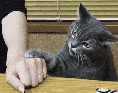 为了让你撸的更爽，日本人造了这个小东西！